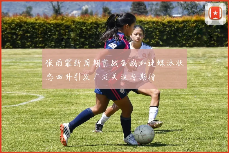 张雨霏新周期首战备战加速蝶泳状态回升引发广泛关注与期待